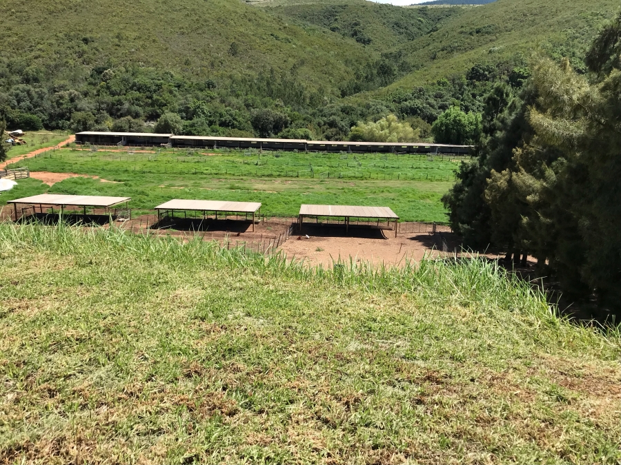 4 Bedroom Property for Sale in Elandsrivier Eastern Cape